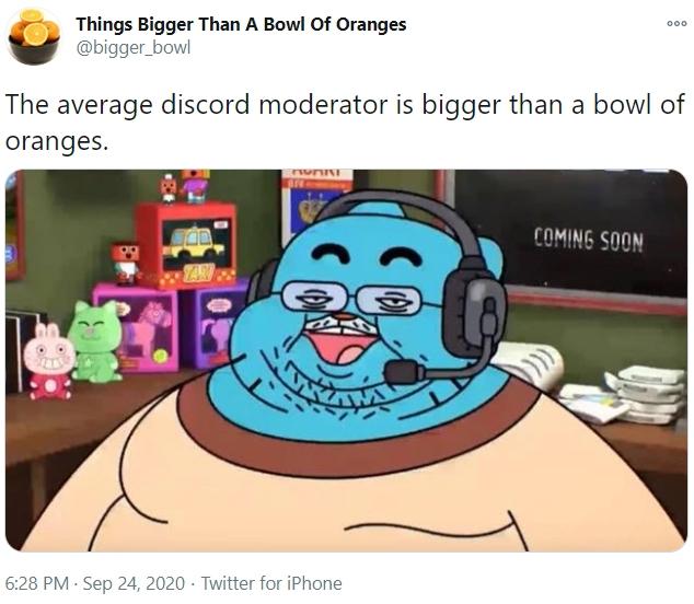 The Average Discord Moderator Is Bigger Than A Bowl Of Oranges Discord Mods Please Keep Memes Out Of General Know Your Meme