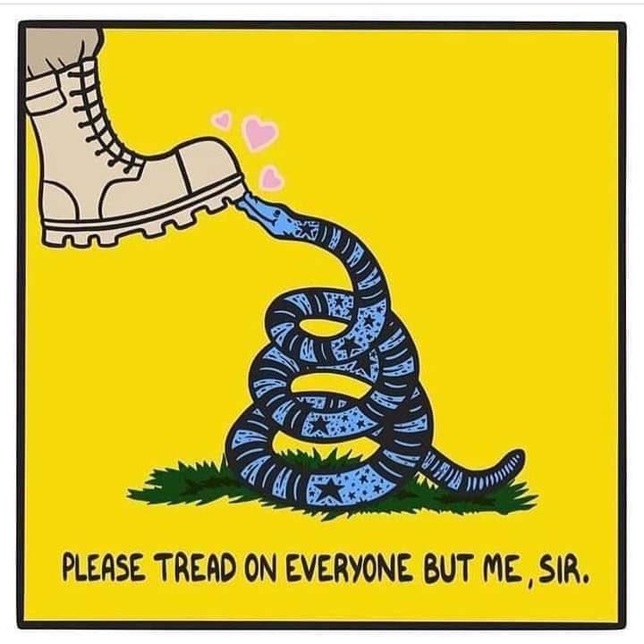 Please Tread On Everyone But Me Sir Gadsden Flag Dont Tread On Me Know Your Meme