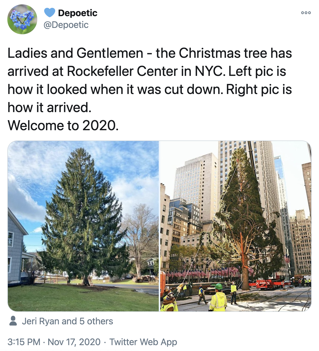 Ladies And Gentlemen The Christmas Tree Has Arrived At Rockefeller Center In Nyc Left Pic Is How It Looked When It Was Cut Down Right Pic Is How It Arrived Welcome Ladies And Gentlemen The Christmas Tree Has Arrived At Rockefeller Center In Nyc Left Pic Is How It Looked When It Was Cut Down Right Pic Is How It Arrived Welcome