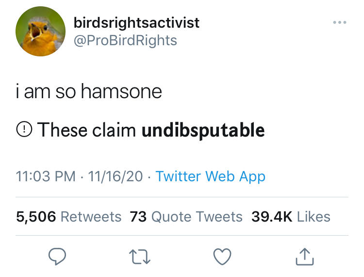 Birds Rights Twitter FactChecking Parodies Know Your Meme