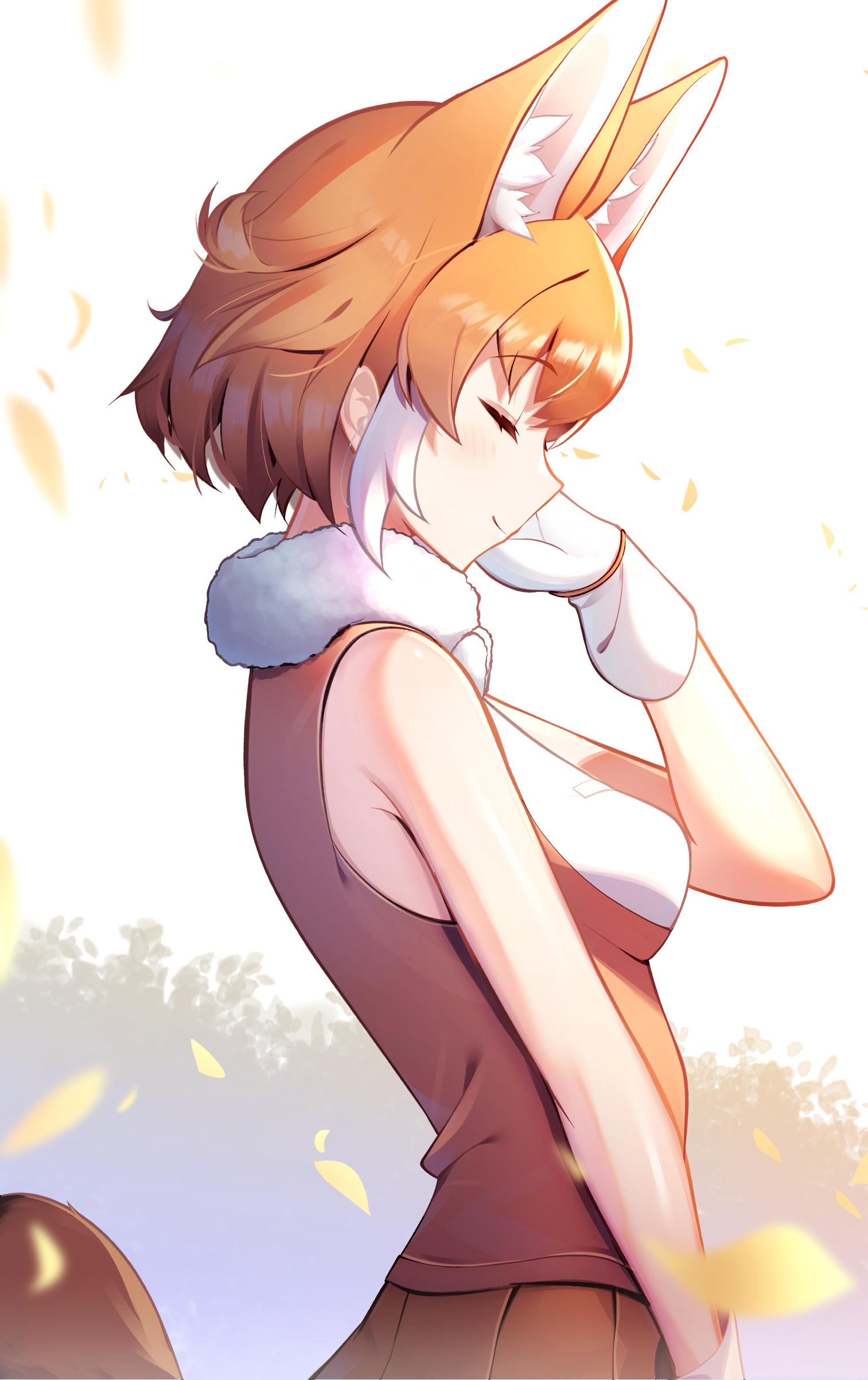 Dhole | Kemono Friends | Know Your Meme