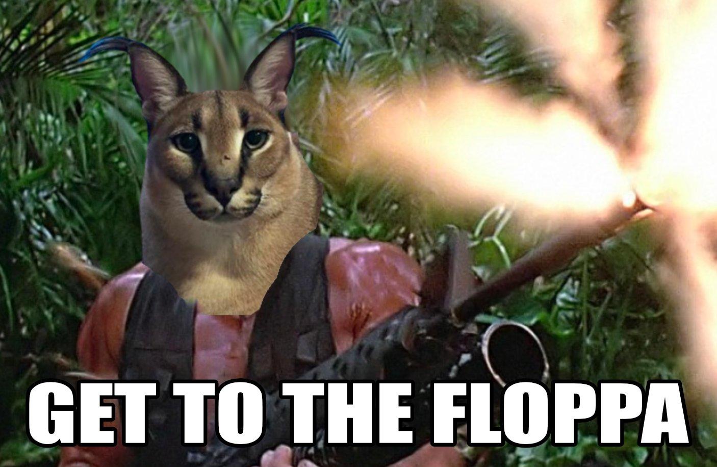 Get to the floppa | Big Floppa | Know Your Meme