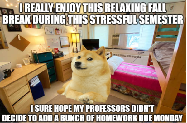 Le Fall Break Studying Has Arrived R Dogelore Ironic Doge Memes Know Your Meme