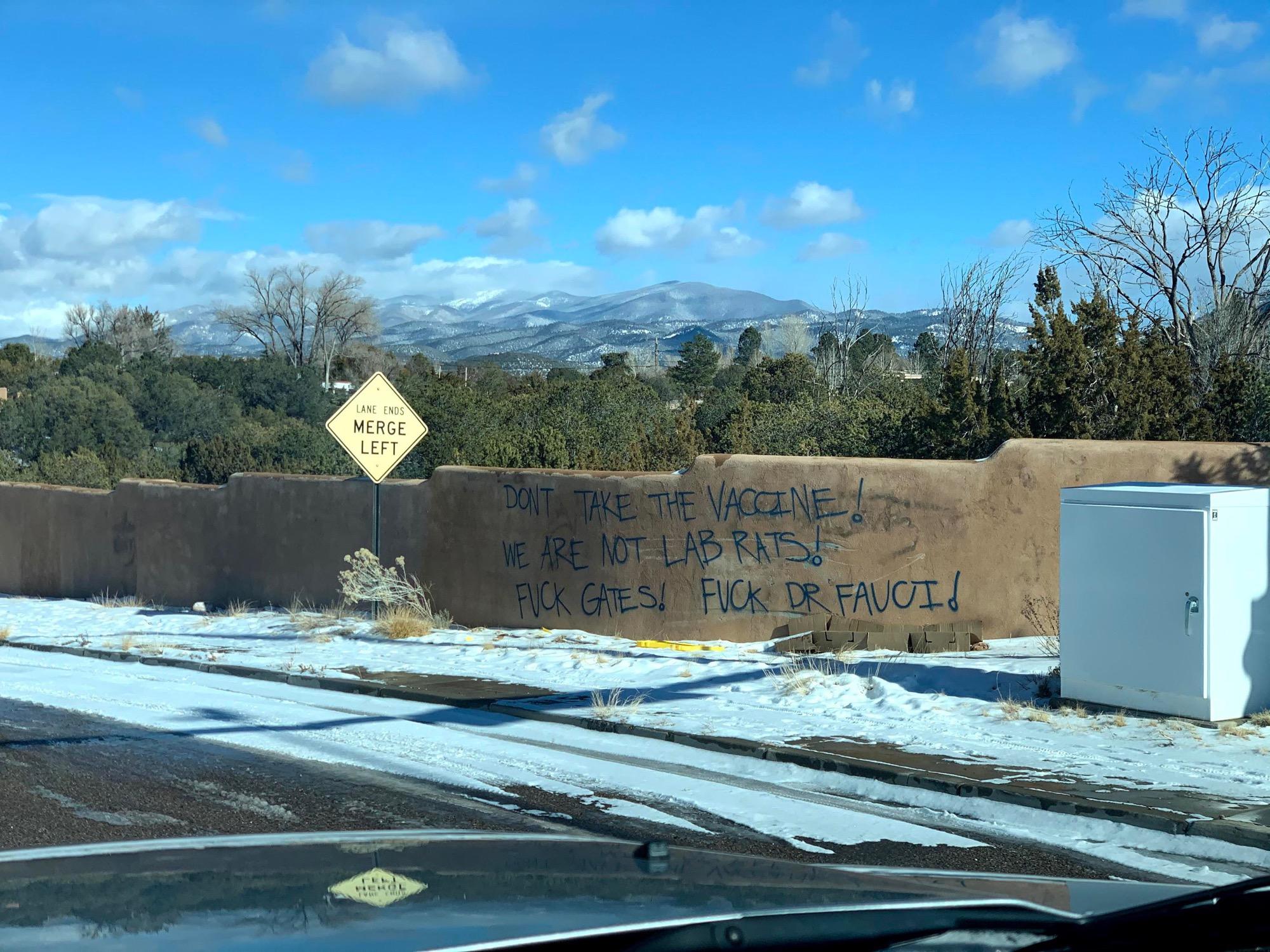 A local Karen got her hands on some spray paint /r/FuckYouKaren