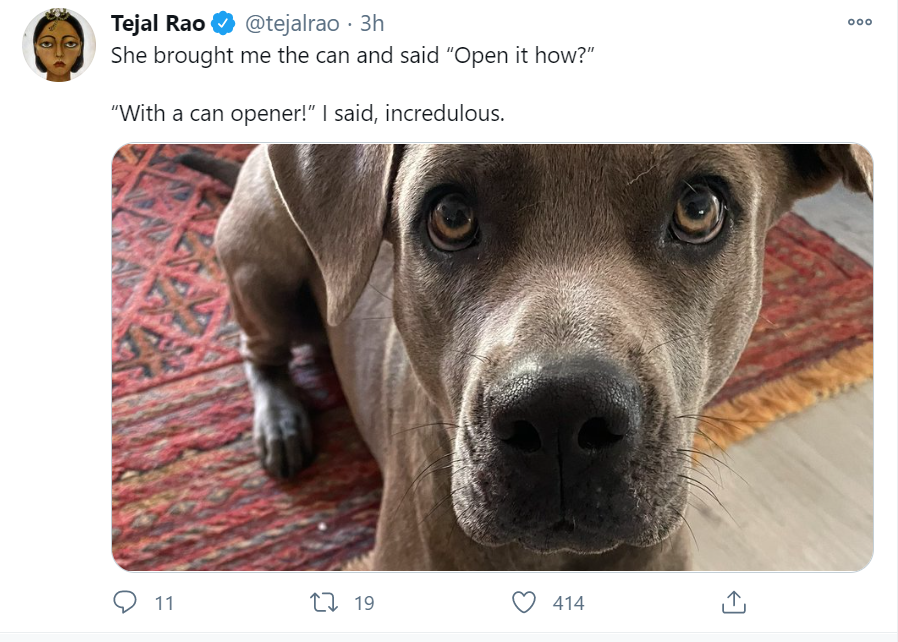 Bean Dog Bean Dad Know Your Meme