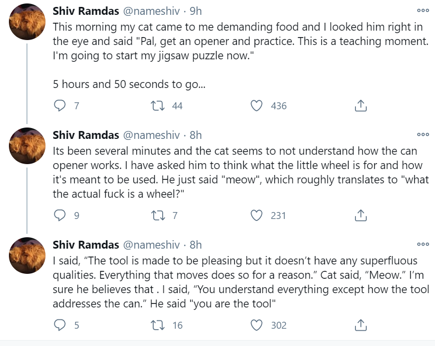 Bean Cat Bean Dad Know Your Meme