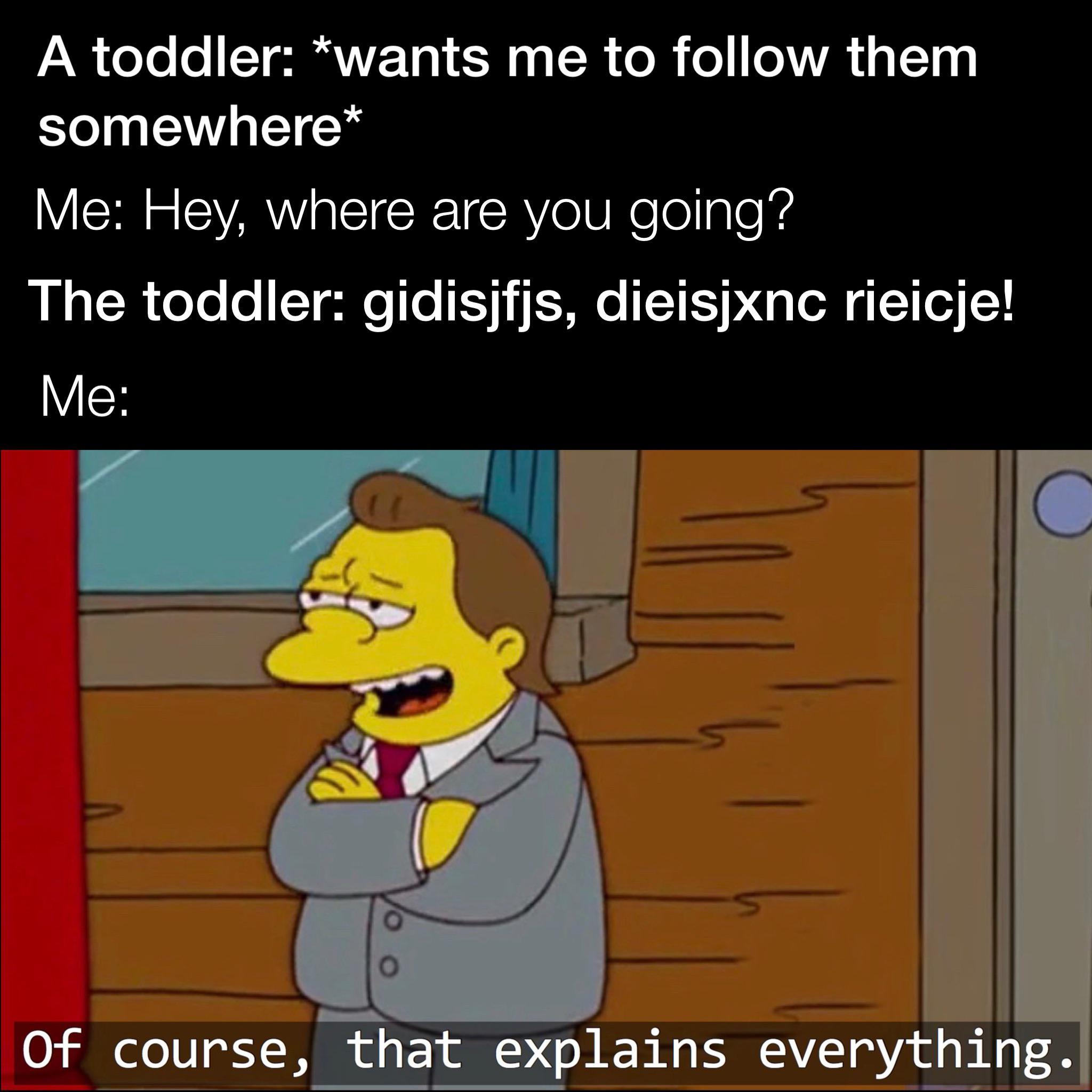 I’ll always follow a toddler speaking gibberish | /r/wholesomememes