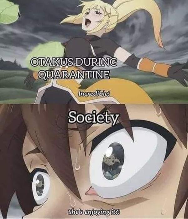 shout out introversion Know Your Meme