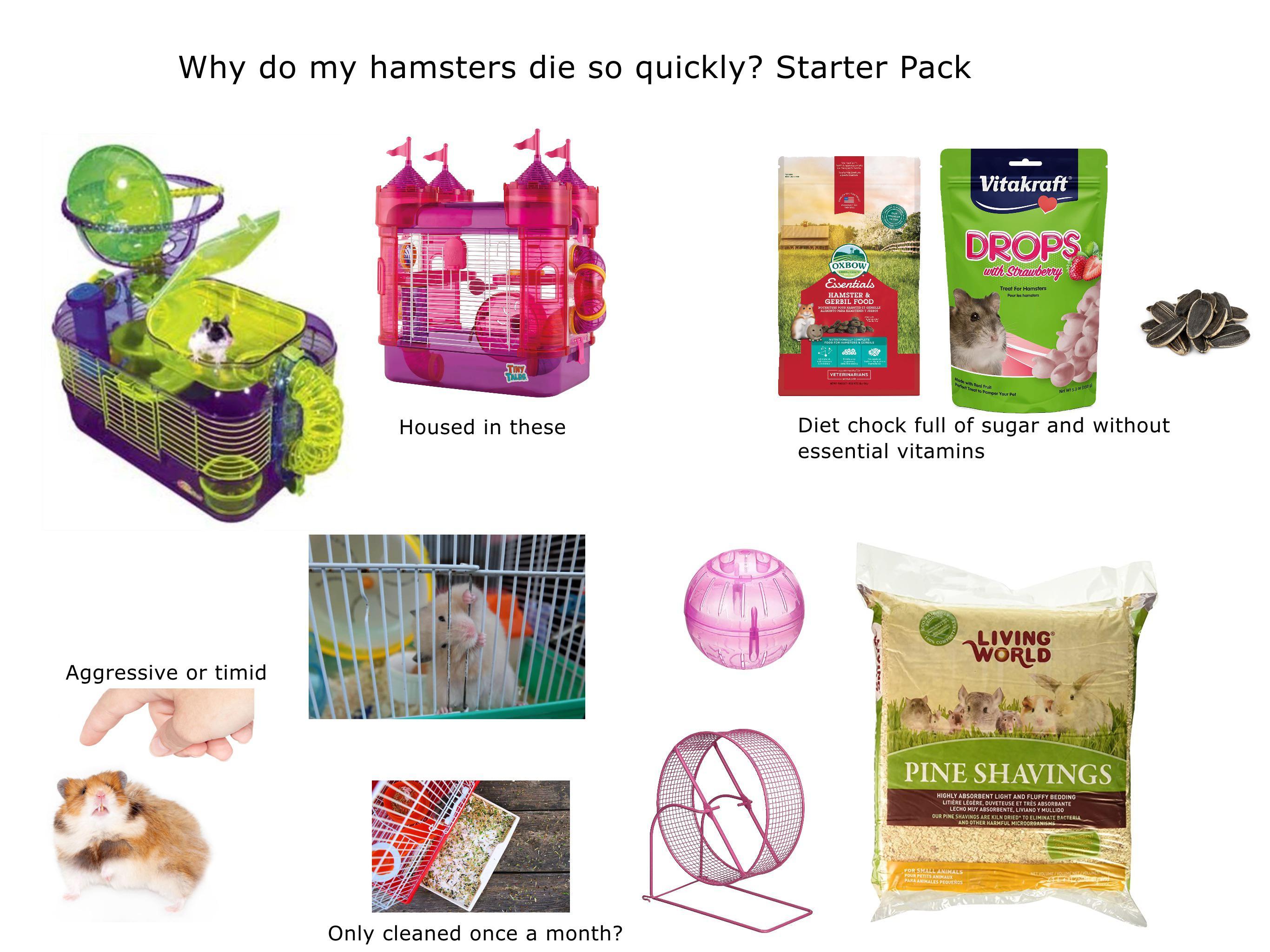 hamster starter pack