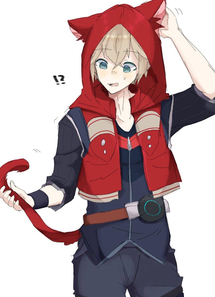 Cat Boy Shulk | Xenoblade Chronicles | Know Your Meme