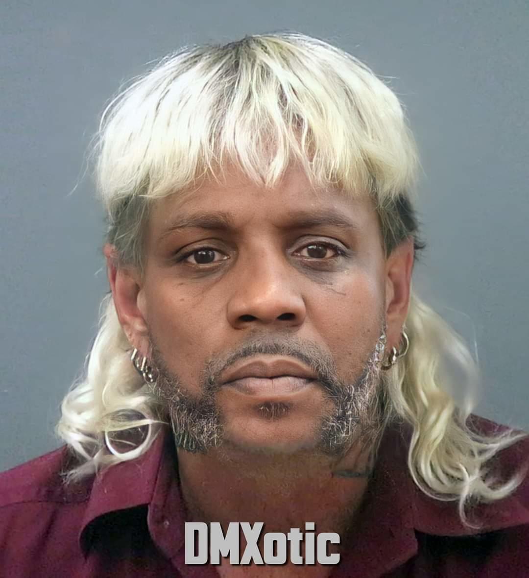 DMXotic | Joe Exotic | Know Your Meme