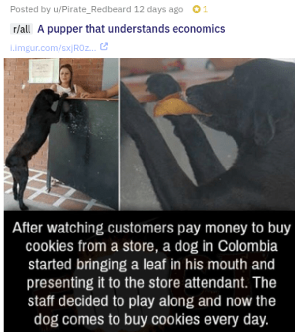 We Live In An Economy Dogs Know Your Meme