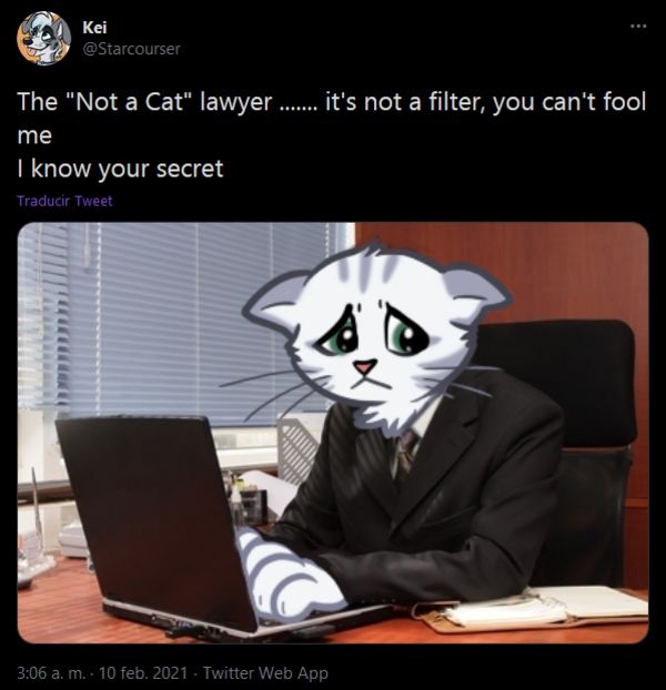 I know your secret by Starcourser Zoom Cat Lawyer / I'm Not a Cat