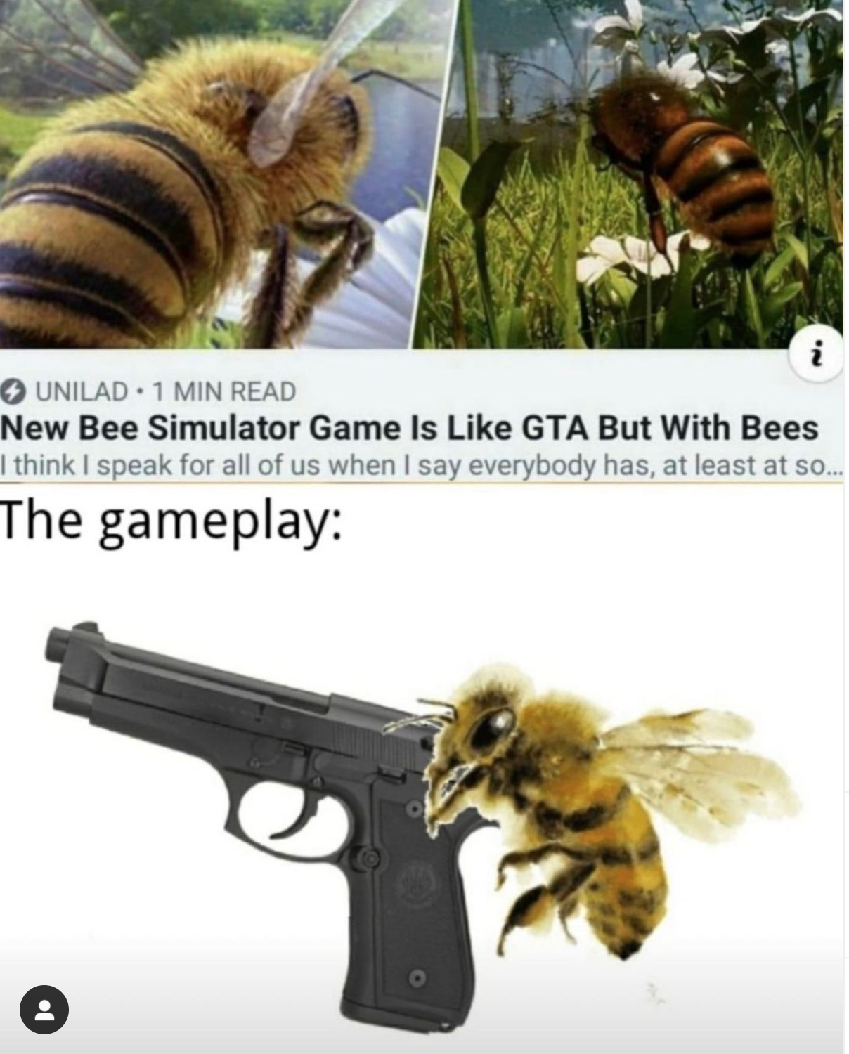 you-picked-the-wrong-flower-patch-bees-know-your-meme