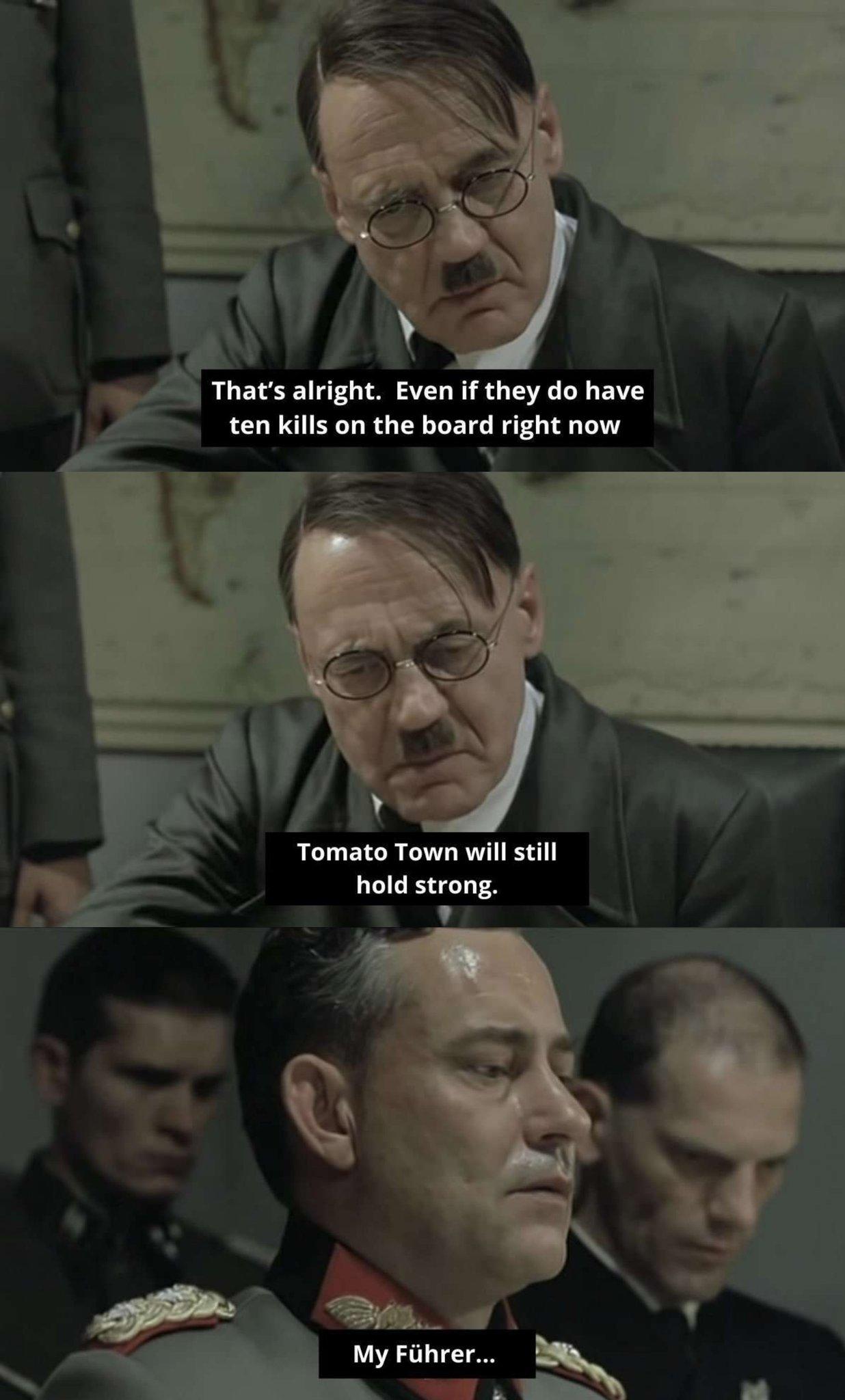 Me At The Downfall Of Meme 11 - h3nk12a