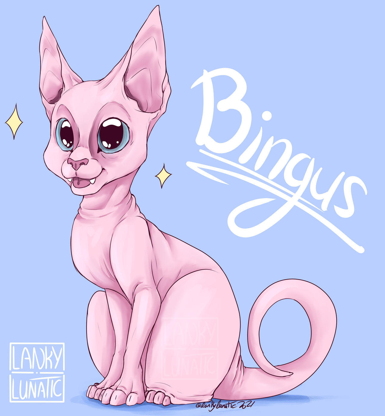 My Beloved | Bingus | Know Your Meme