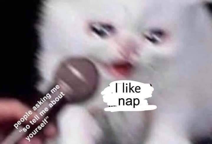 i like nap | Cat Crying Into Microphone | Know Your Meme