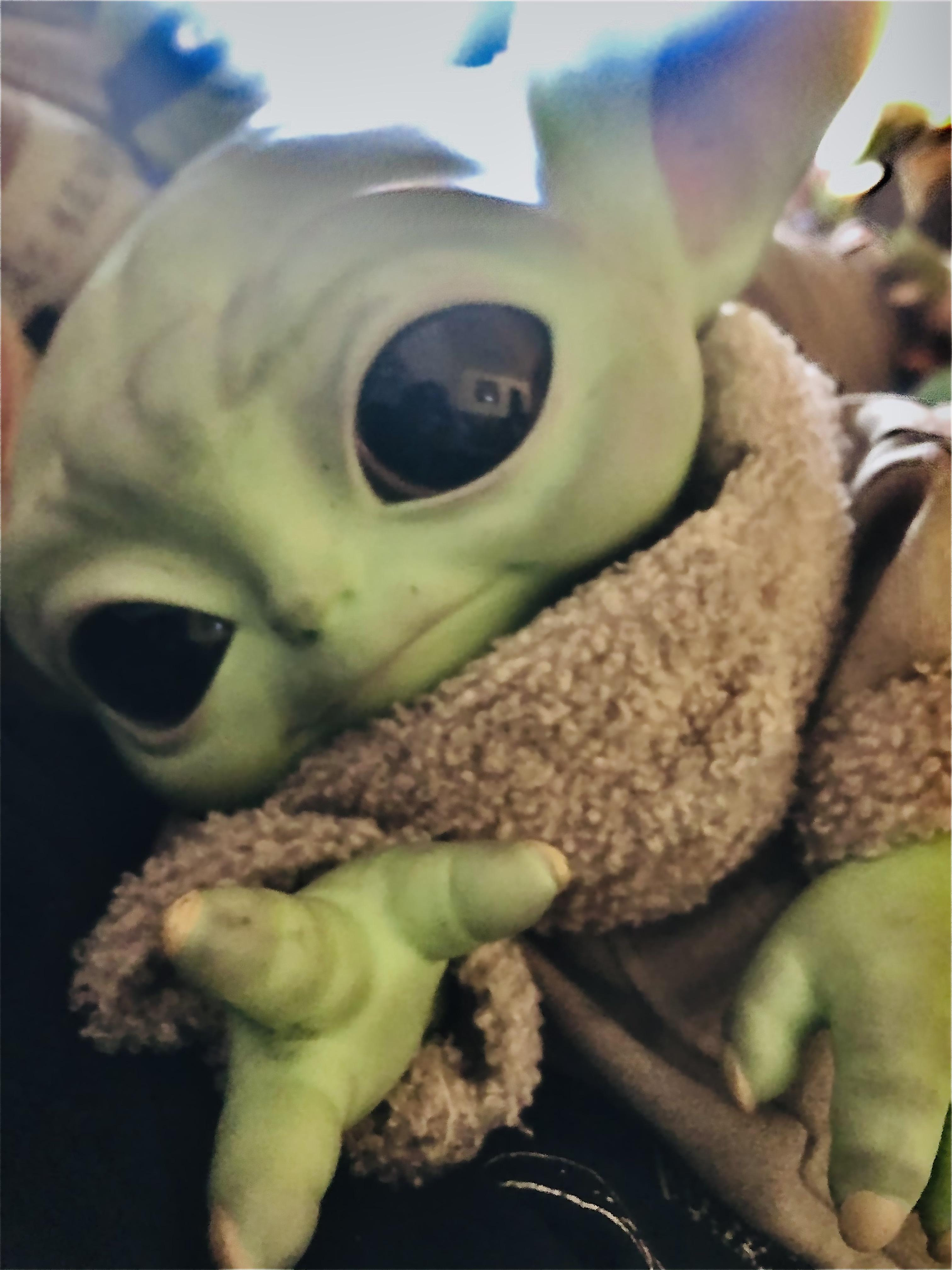 He reached for my phone as I took this pic. /r/BabyYoda Baby Yoda / Grogu Know Your Meme