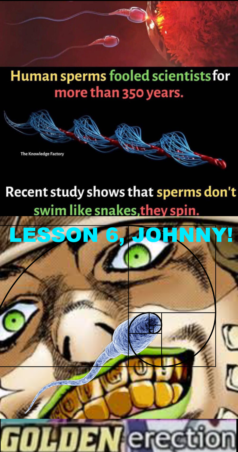 lesson 7 is testicular torsion /r/ShitPostCrusaders/ JoJo's Bizarre Adventure Know Your Meme