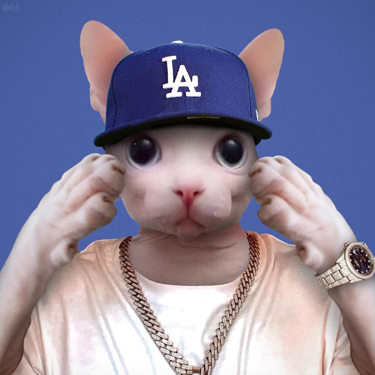 Bingus dababy Bingus Know Your Meme