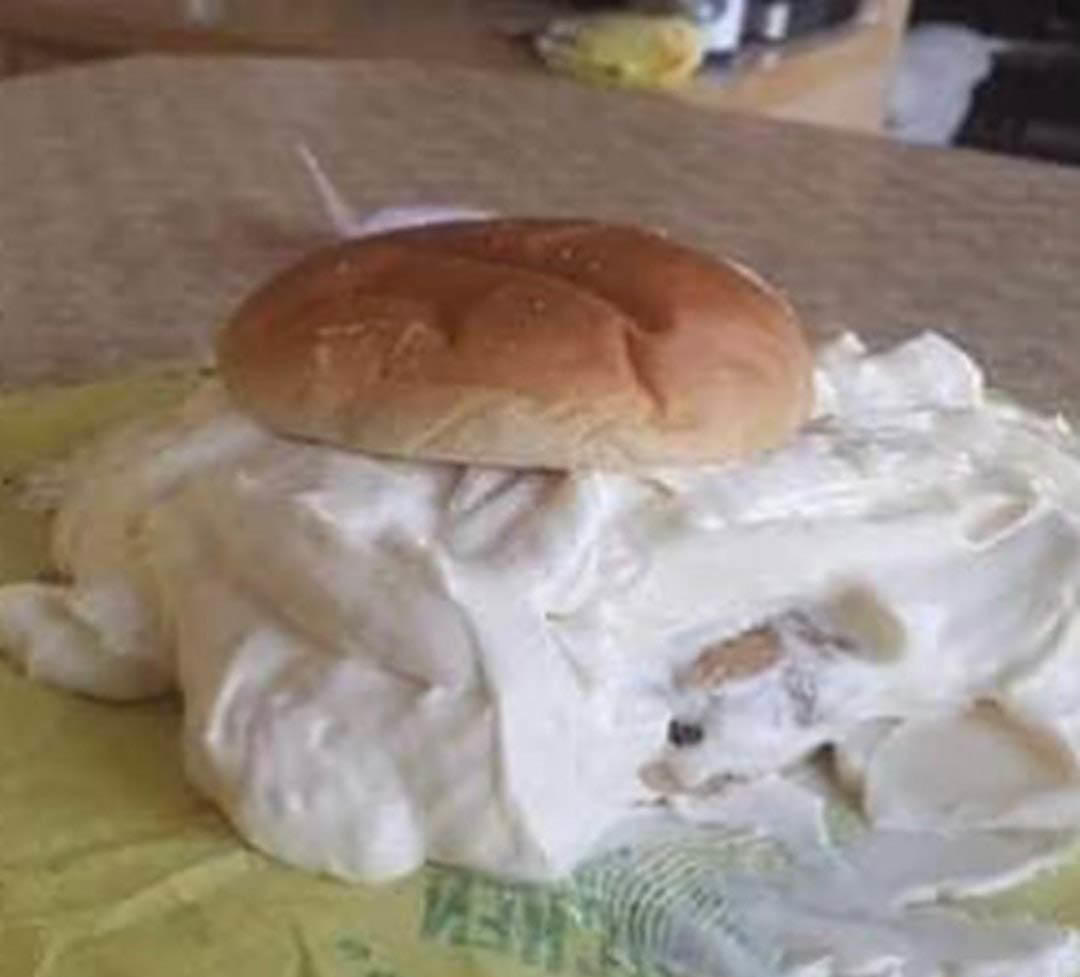 Extra mayo (they'll do anything) Food Porn Know Your Meme