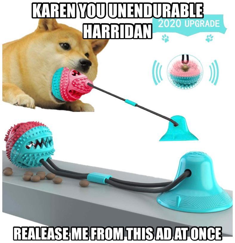 Le forever gagged in an add has arrived | /r/dogelore | Ironic Doge ...