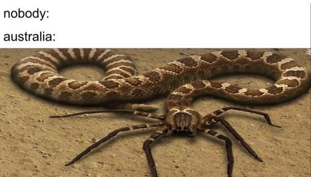 meanwhile in Australia... Nobody Know Your Meme