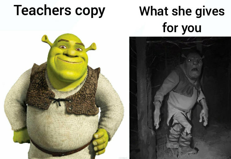 Teacher's Copy (Shrek 2) The Teacher's Copy vs. What They Give You