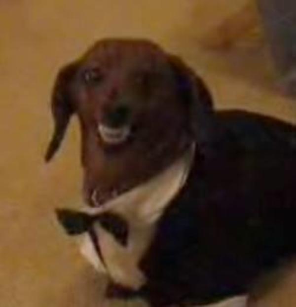 das conk creet no text Cement Das Conk Creet Baybee Know Your Meme