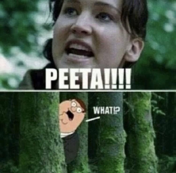 Peeta Griffin The Hunger Games Know Your Meme