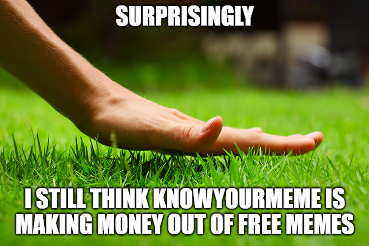 I will die on this hill Touch Grass Know Your Meme