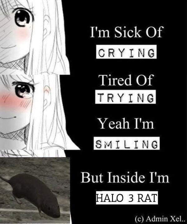 9ae.jpg