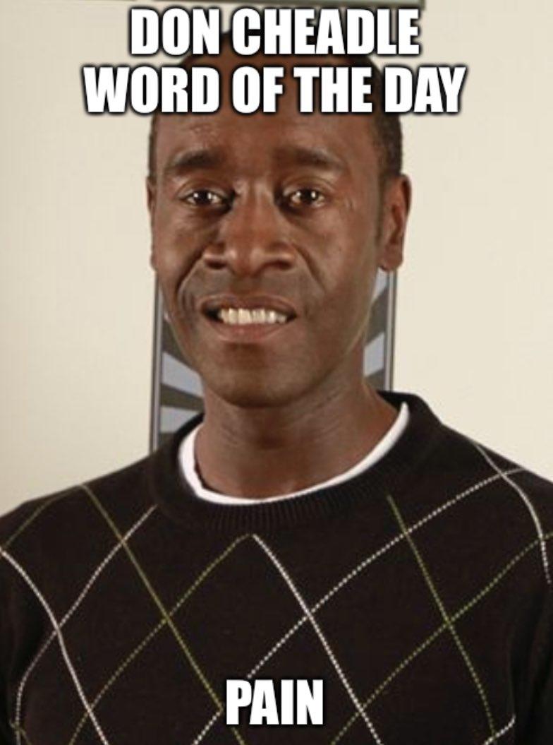 Don Cheadle Word Of The Day Pain Don Cheadle Word Of The Day Know Your Meme