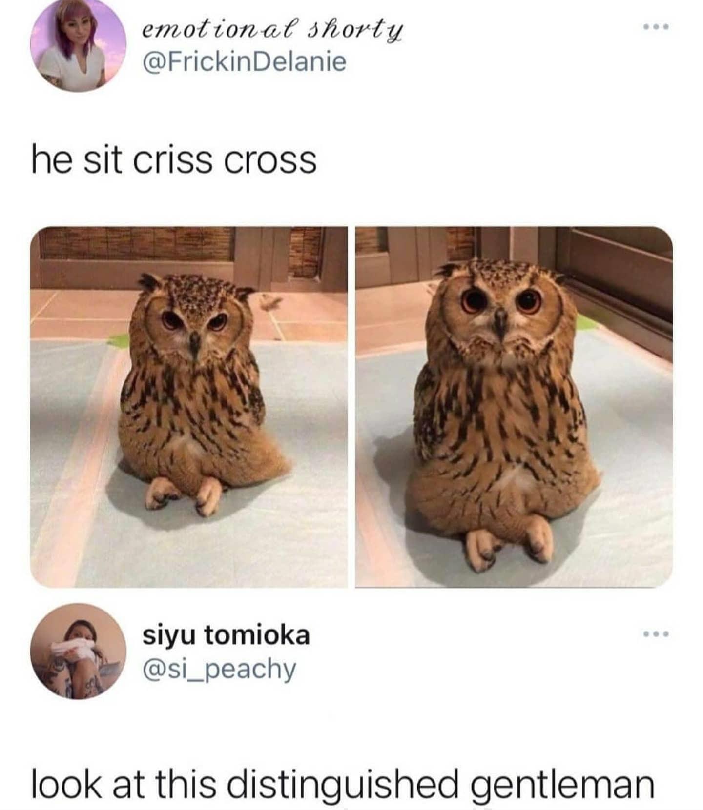 he sit criss cross Look At This Distinguished Gentleman Know Your Meme