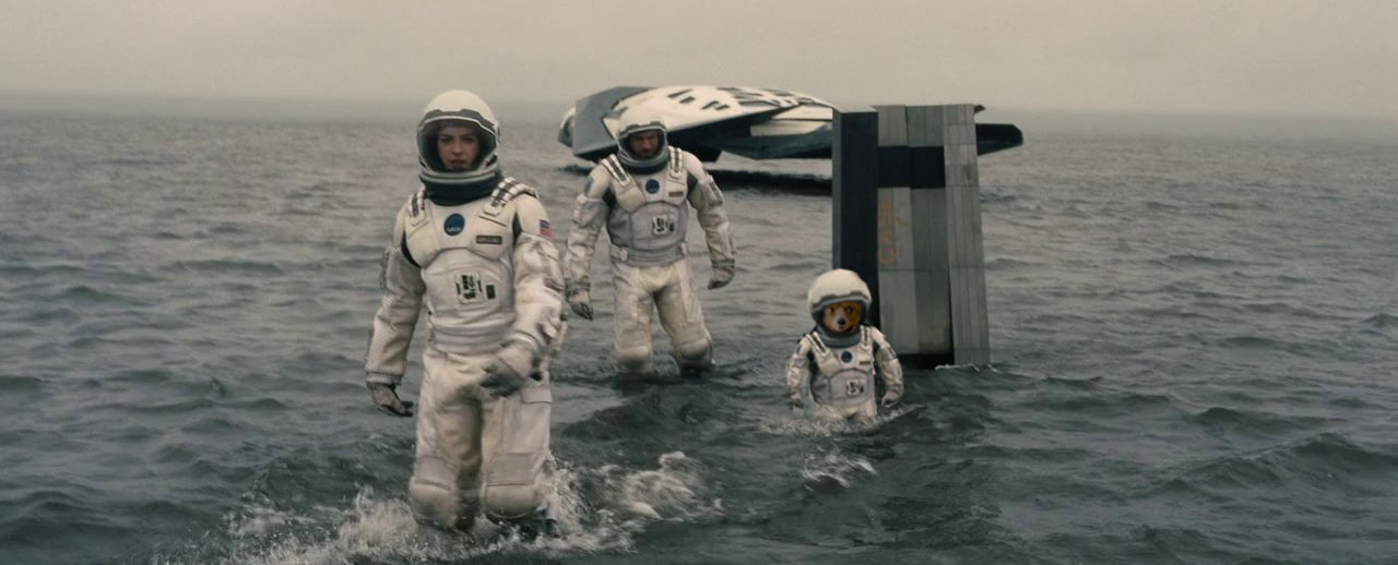 Paddington day 23 Circlejerk Subreddits Know Your Meme