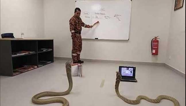 Are They Learning Python? | /r/Hmmm | Know Your Meme