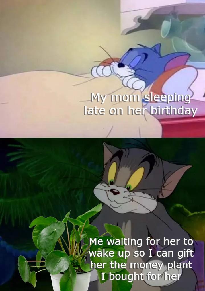 The least I can do in return of all she's done for me /r