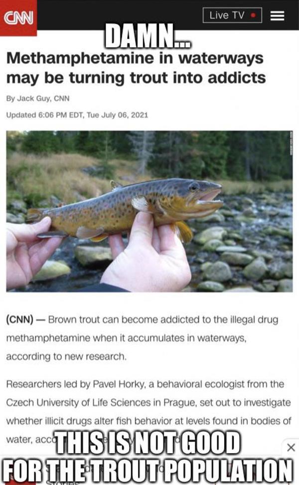 Save the Trout /r/okbuddyretard OkBuddyRetard Know Your Meme