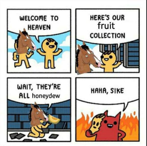 Honeydew BoJack Horseman Know Your Meme