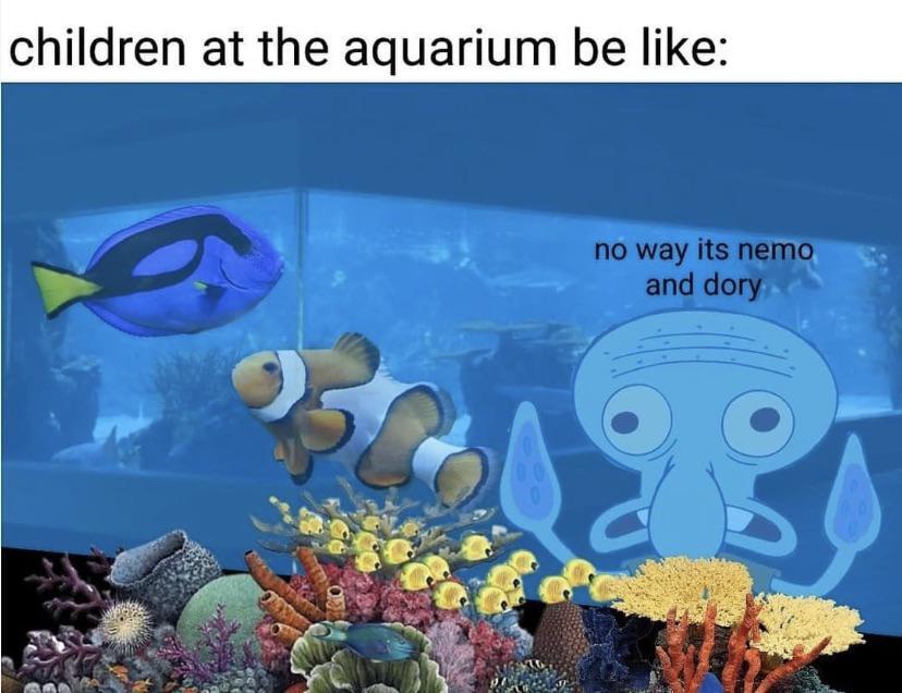 Aquariums are so good though /r/wholesomememes Wholesome Memes