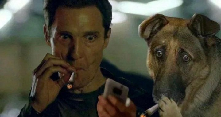 Smokin' with the dog | Matthew McConaughey Smoking | Know Your Meme