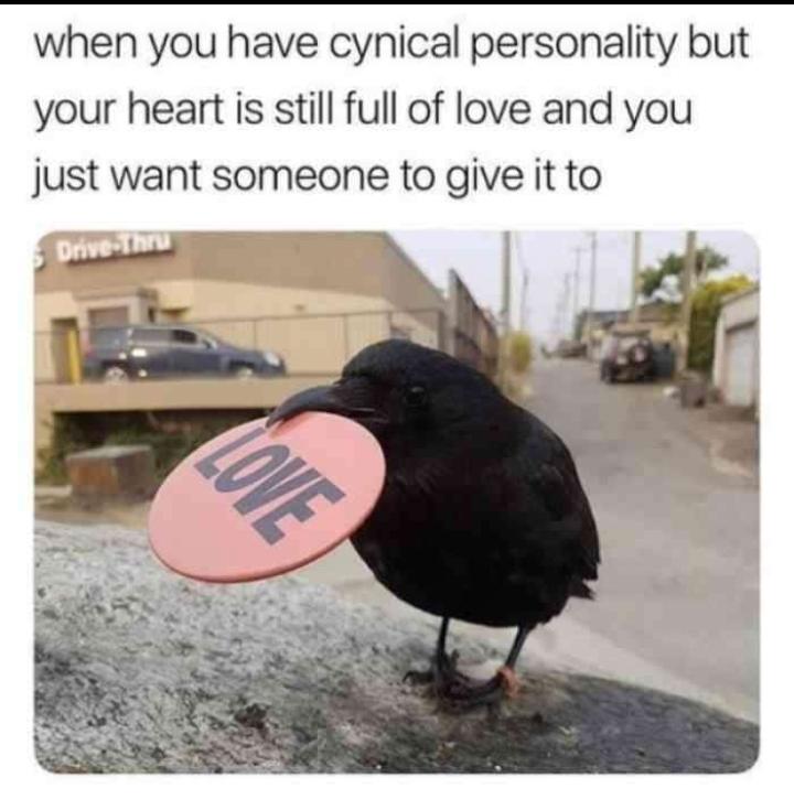 Let Me Love You R Wholesomememes Wholesome Memes Know Your Meme
