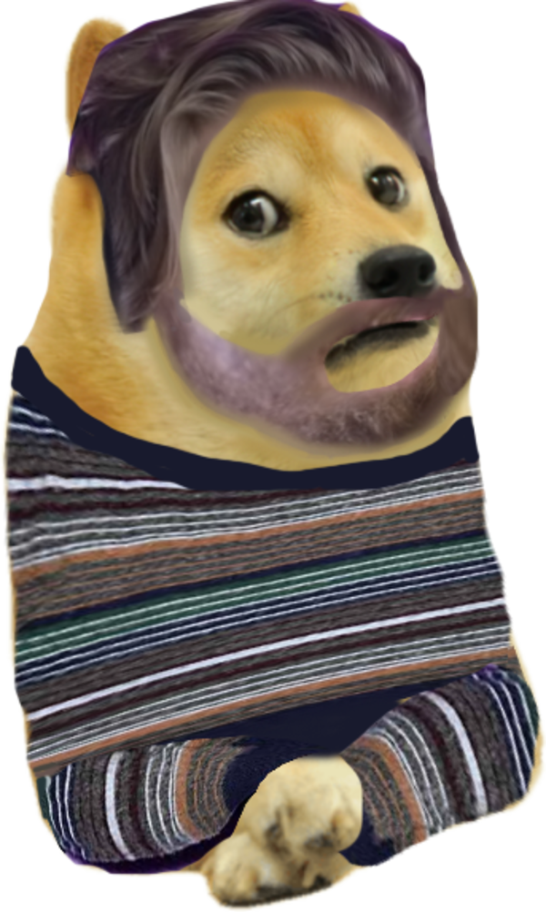le bo burnham has arrived /r/dogelore Ironic Doge Memes Know Your Meme