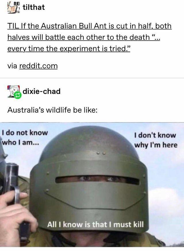 Have At Me! | All I Know Is That I Must Kill | Know Your Meme - All I Know Is I Must Kill Meme