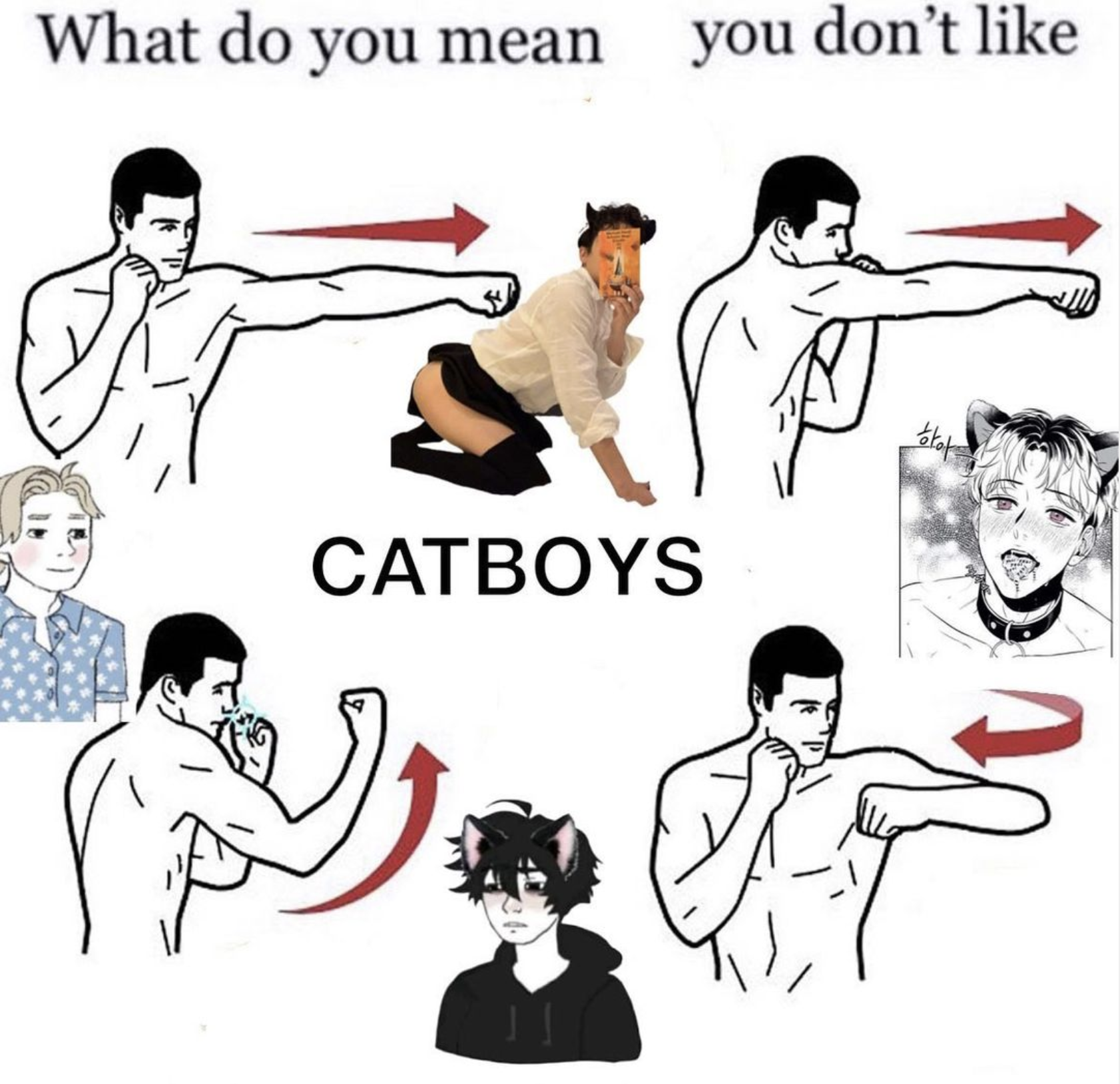 what do you mean you don't like catboys What Do You Mean You Don't