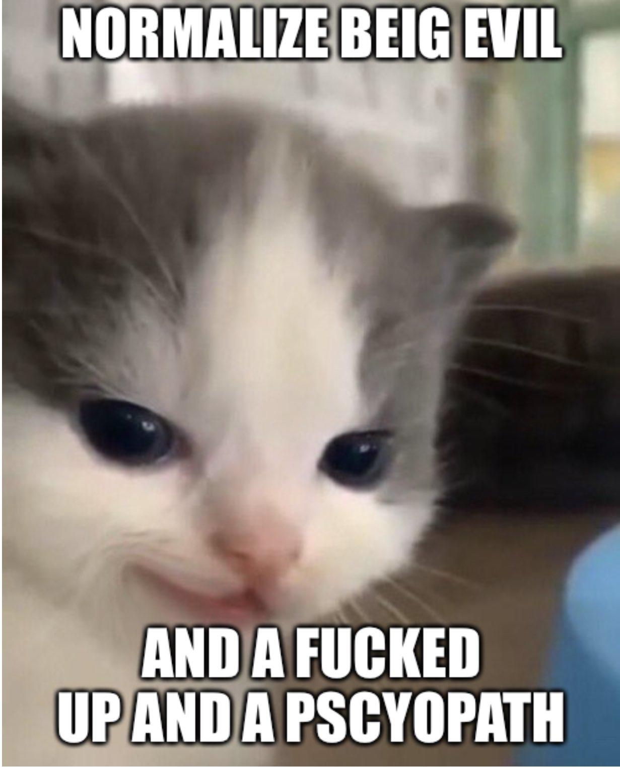 Normalize Being Evil And A Fucked Up And A Psychopath Hehe Cat Know Your Meme
