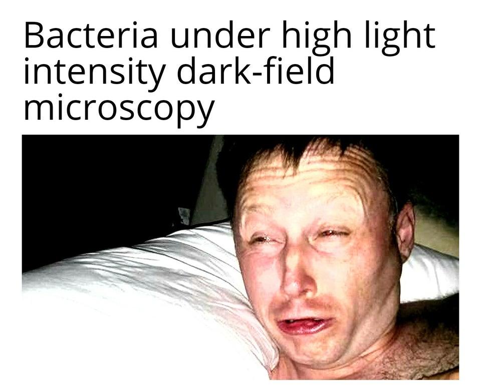 Y all Got Any Flagella Science Know Your Meme Y all got any flagella science know your meme