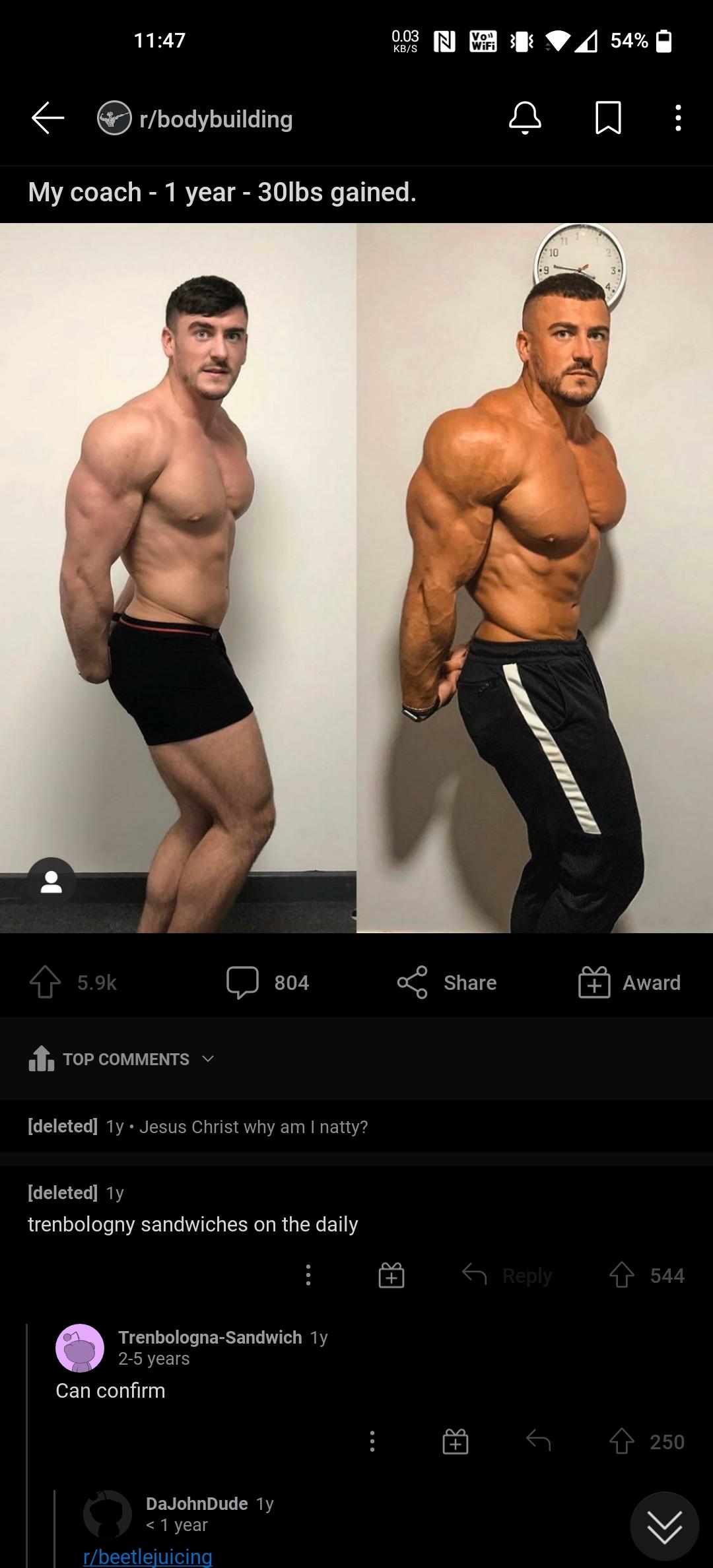 Biggest natural bodybuilder picture
