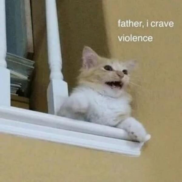 VIOLENCE Cats Know Your Meme