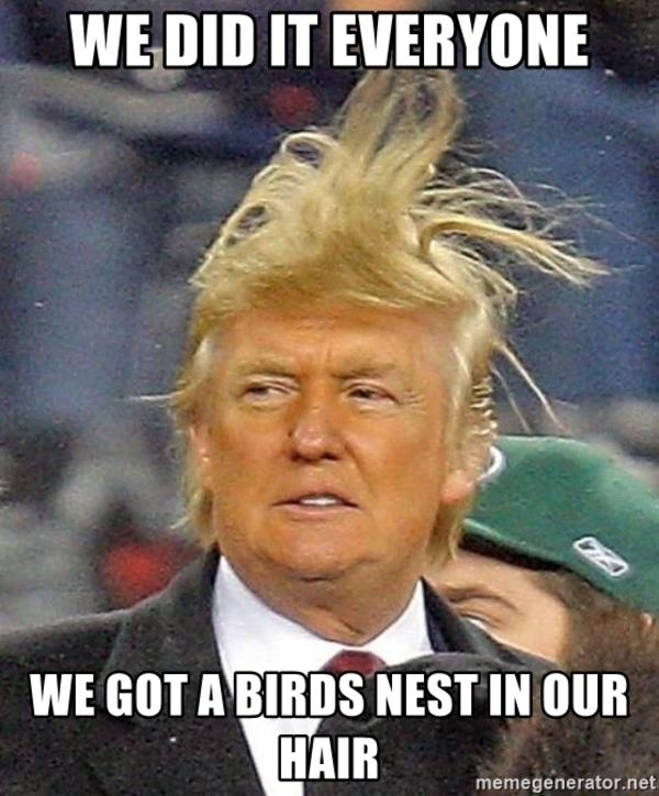 Donald trump's hair Bird's Nest Haircut / Broccoli Haircut / Zoomer